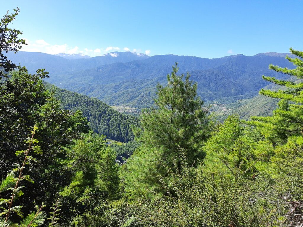 Forested Himalayan ridgelines fading into cloud across the Bhutan highlands