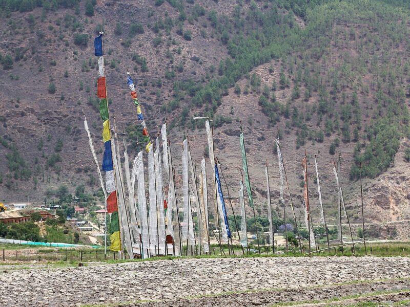 Prayer flags strung across a hillside above Sopsokha, Bhutan